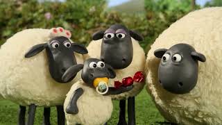Những Chú Cừu Thông Minh 🐑 Shaun tệ quá à?! Phim hoạt hình sử thi đầy đủ Tập đầy đủ