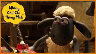 Những Chú Cừu Thông Minh 🐑 Shaun tệ quá à?! Phim hoạt hình sử thi đầy đủ Tập đầy đủ