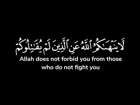 لا ينهاكم الله عن الذين لم يقاتلوكم في الدين ولم يخرجوكم من دياركم شاشة سوداء ناصر القطامي