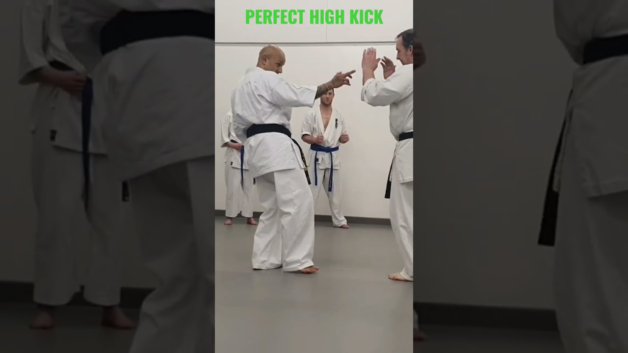 Karate Kyokushin High Kick Technique That EVERYONE Should Know 