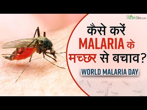 वीडियो: मलेरिया को रोकने के 3 तरीके