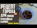 РЕЦЕПТ ГОРОХА №2 ДЛЯ ХОЛОДНОЙ ВОДЫ (ВЕСНА - ОСЕНЬ)