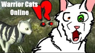 Warrior Cats Untold Tales Play Online Warrior Cats Untold Tales Play Online