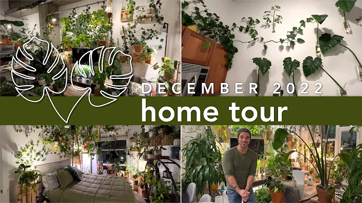 DOWNTOWN URBAN JUNGLE TOUR - My Collection of Trop...