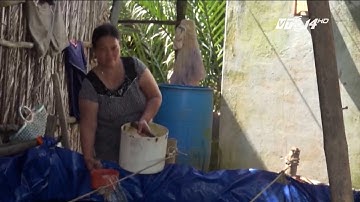 (VTC14)_Người dân ven biển Tiền Giang tranh thủ trữ nước cho mùa hạn mặn