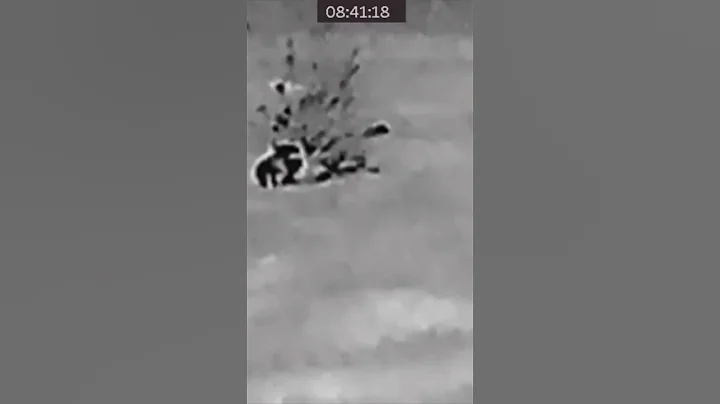 Thermal Scope Hog hunting in North Texas full video on channel! #hoghunting #thermal #wildboar