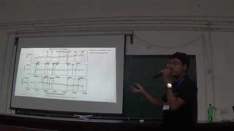 Spectroscopic Study of Saraswati Supercluster using SALT | Tathagata Pal | UPS 2018