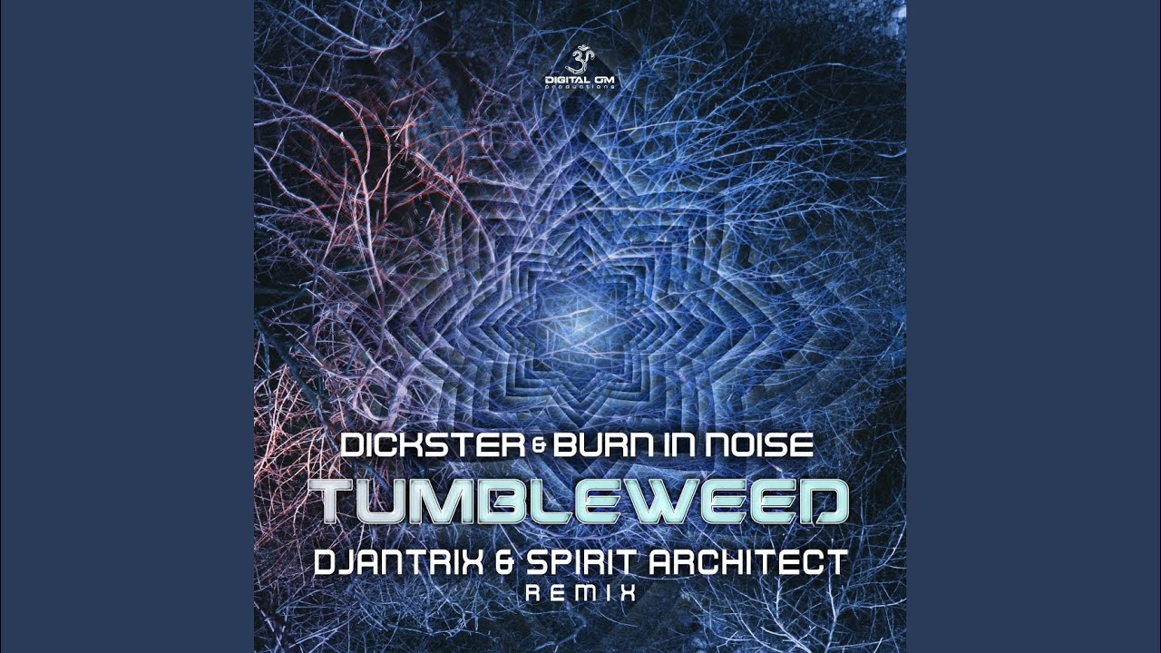 Tumbleweed (Djantrix & Spirit Architect Remix)