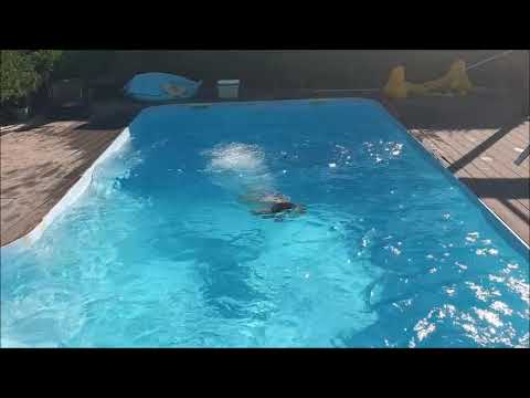 2019 წ ზაფხულში