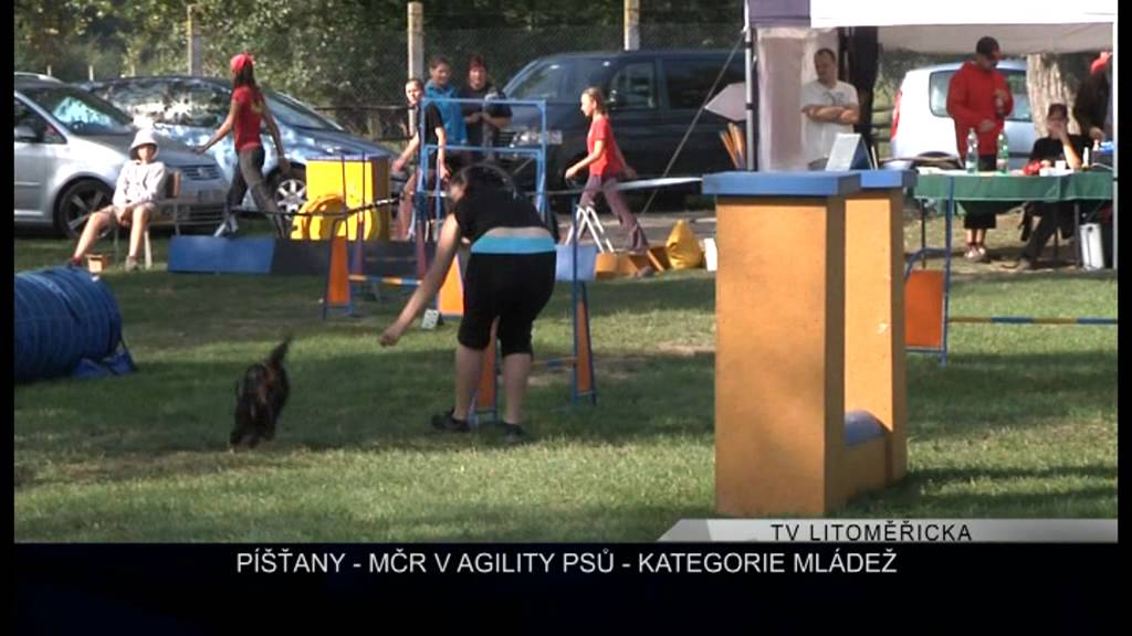 PÍŠŤANY: MČR v agility psů - kategorie mládež (TV Litoměřicka)