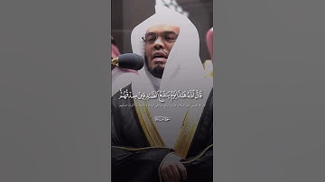 ما تيسر من سورة المائدة ، القارئ الشيخ ياسر الدوسري #القرآن_الكريم #ياسر_الدوسري #الحمد_لله #غزة