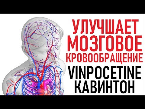 Винпоцетин | Интеллект на много лет | СОВЕТЫ ОСОБЕННОСТИ (Vinpocetine) Uses, Side Effects