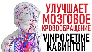 Винпоцетин | Интеллект на много лет | СОВЕТЫ ОСОБЕННОСТИ (Vinpocetine) Uses, Side Effects