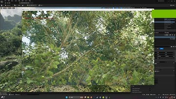 Why the foliage always flickering in ue5?