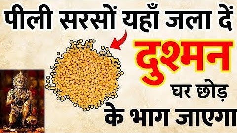 पीली सरसों का ये रामबाण उपाय सभी कर्जों से मुक्त कर देगा - कर्जा मुक्ति के उपाय प्रदीप मिश्रा