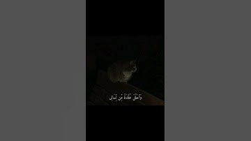 🌷قرآن الكريم 🌷 #اكسبلور #لايك #راحة_نفسية 🌷💗"