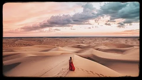 Rose in the desert - Margherita Pirri