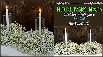How much is a bunch of babys breath?