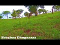 Sirba Aadaa Wallaggaa Bareedaa 