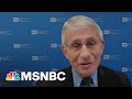 Dr. Fauci: We Don't Want To Declare Victory Against The Virus Prematurely | Morning Joe | MSNBC