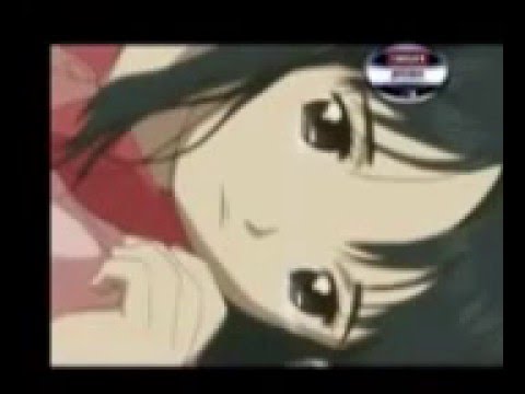 Download Koi Kaze Ending Completo Sub Espanol Latino Youtube Free HD Wallpaper Koi Kaze Ending Completo Sub Espanol Latino Youtube Desktop Wallpaper