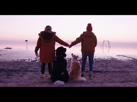 Watch Hey, King! - "Beautiful" on YouTube Watch Hey, King! - "Beautiful" on YouTube