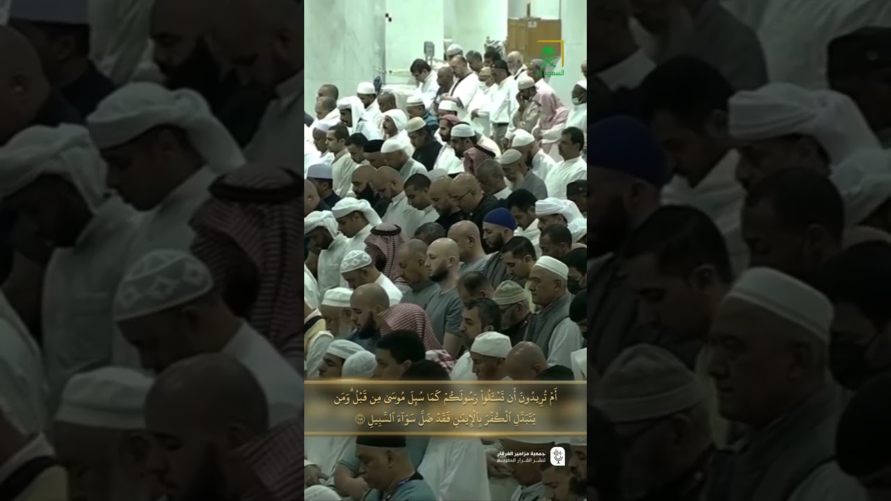 مقتطف من تلاوة الشيخ #الوليد_الشمسان من فجر 29 شوال 1446هـ