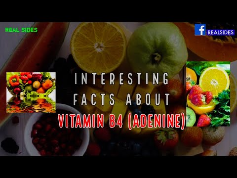 Video: Tabulka Rostlinných Potravin S Obsahem Cholinu (vitamin B4)