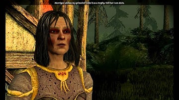 Dragon Age Origins - Part 51 - Flemeth