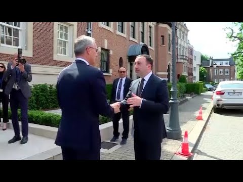 ნატო-ს გენერალური მდივანი პრემიერ-მინისტრ ირაკლი ღარიბაშვილს შეხვდა