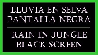 Lluvia en Selva Pantalla Negra  Rain in Jungle Black Screen