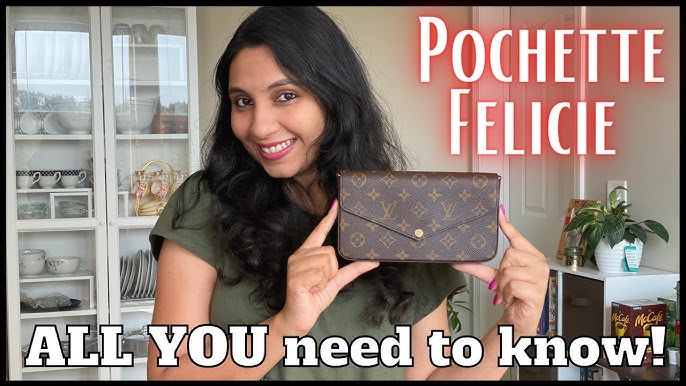 My Newest Bag - Louis Vuitton's Felicie Pochette! - Gin & Pretzels