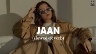 JAAN (slowed reverb) - Prm Nagra | New Punjabi Song 2024 - Zee Zee Music