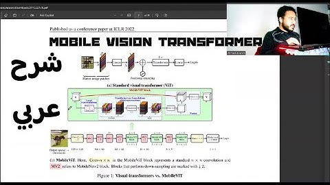 Mobile Vision Transformers part 1 | Depth-wise and Point-Wise Convolution عربي