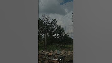 سورة المائدة القارئ/سعود الشريم