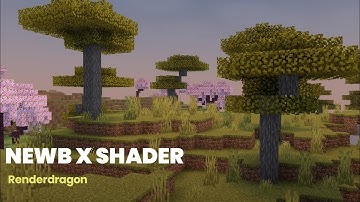 NewB Shader X - Renderdragon shaders for mcpe 1.19 - 1.20
