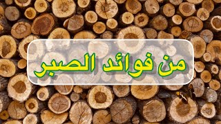 من فوائد الصبر