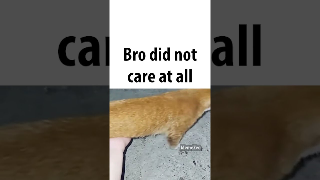 Bro Didn T Care