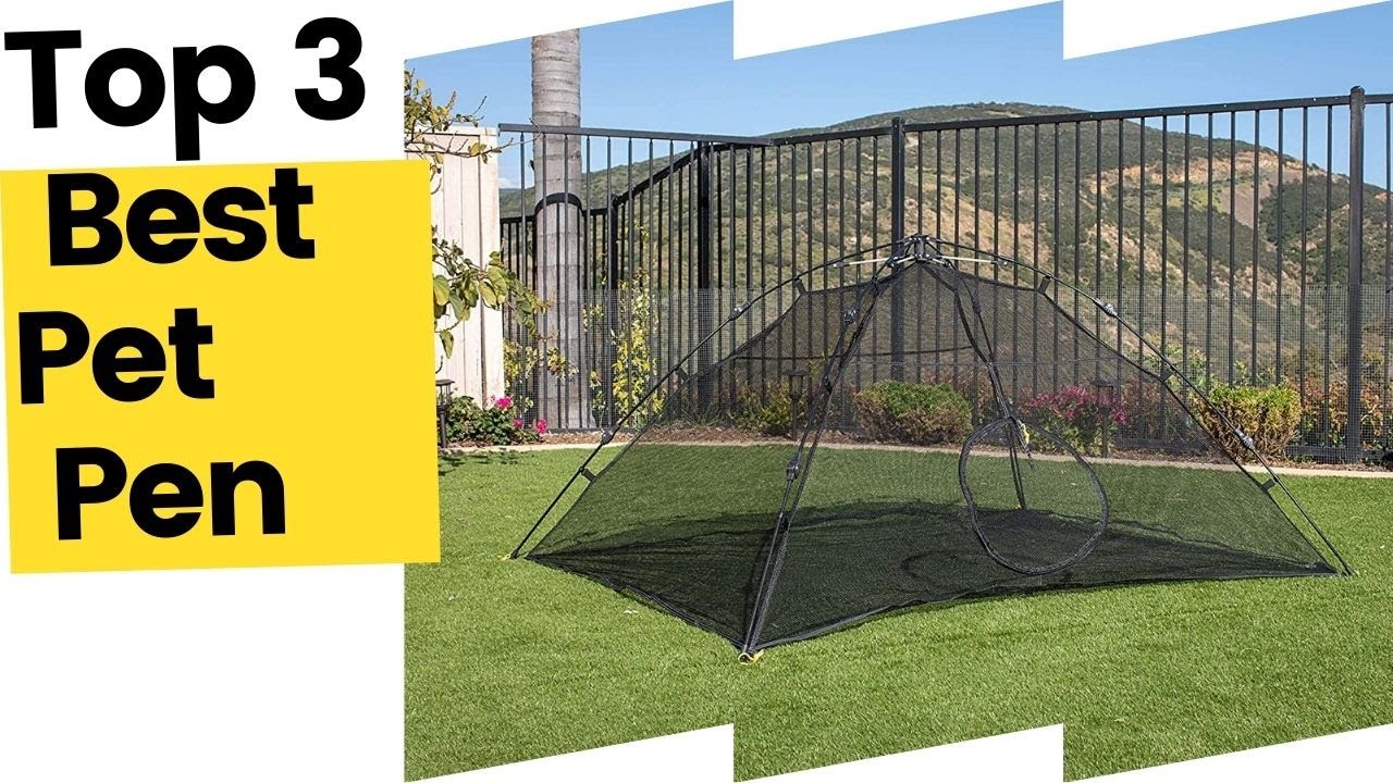 Best Pet Pen, According to Customer Reviews in 2023