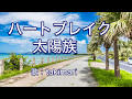 再アップ★ハートブレイク太陽族 ( スターボー ) cover / 歌:にゃんぱ
