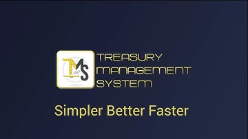 Treasury Management System (TMS)