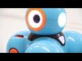 Robotica educativa e coding con Dash & Dot