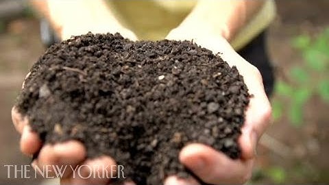 Composting in New York City - Notes From All Over - The New Yorker