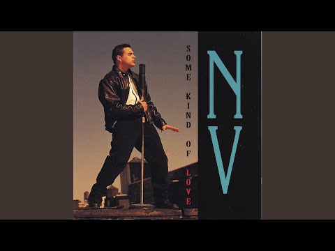 N.V. — Just Like The Wind (94 Flava)