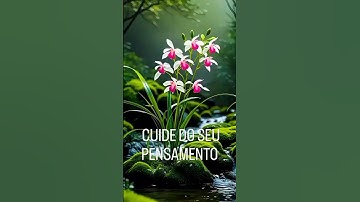 VID_20250608_104933_178_bsl.mp4