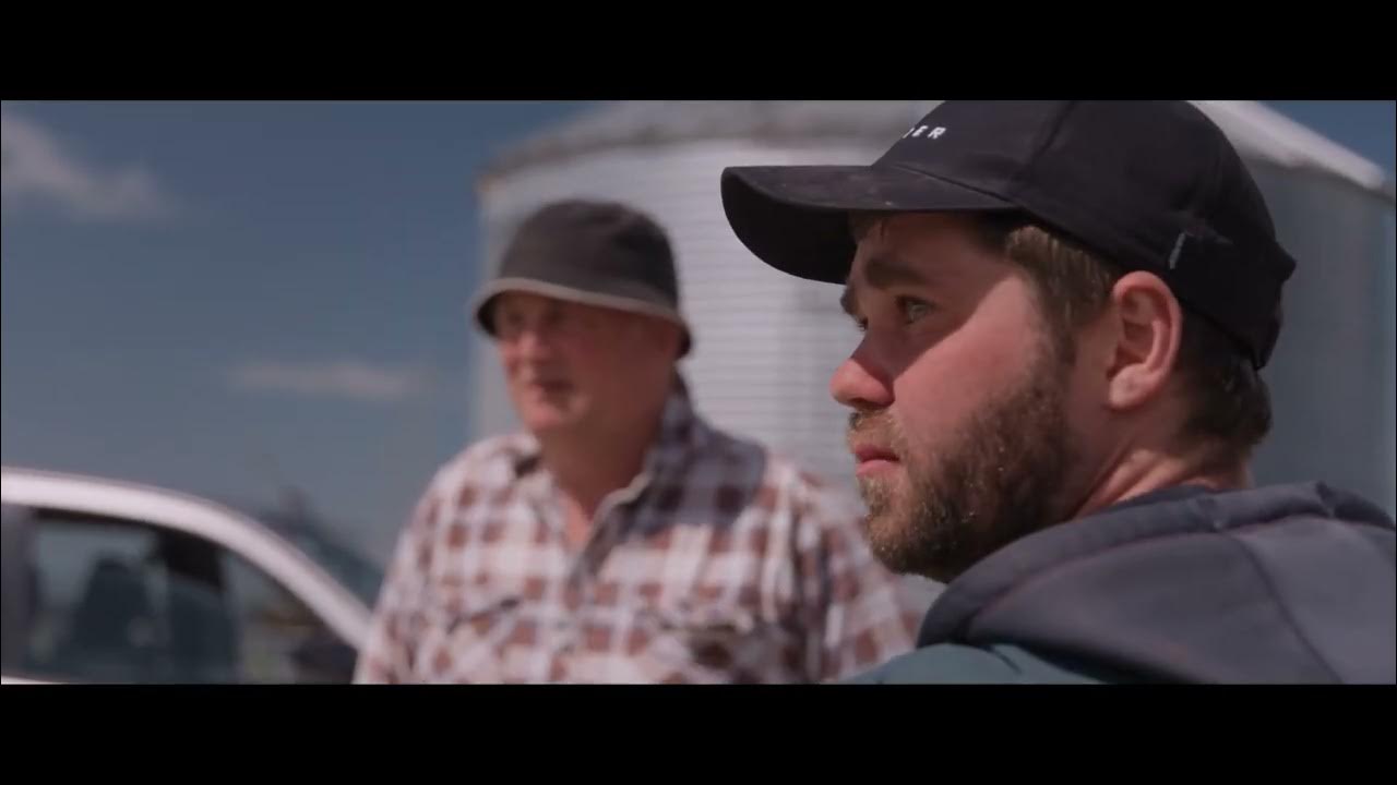 Kenmare farm introduction Halter YouTube