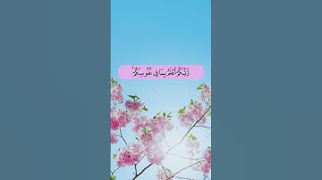 ربكم أعلم بما في نفوسكم.سورة الإسراء. القارئ: فارس عباد. تلاوة هادئة خاشعة. #قران_كريم