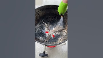 Satisfying Webber Grill Deep Clean #satisfying #cleaning