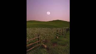 Pages - 1 hour [WIMY]