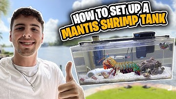MANTIS SHRIMP Tank Setup!!